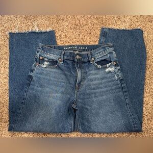 American Eagle Dark Blue Denim Shorts